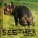 Seether - Fine Again