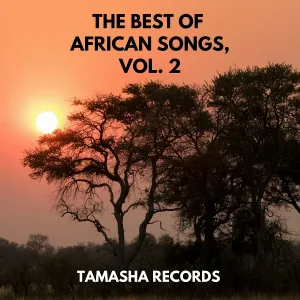 Safari Sounds Band - Safari Sounds