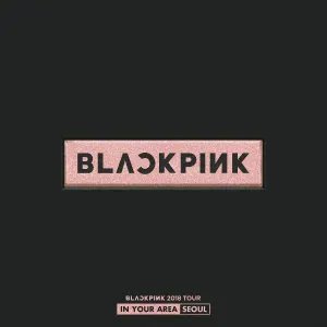 BLACKPINK - DDU-DU DDU-DU
