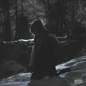 LIZER - Нервы