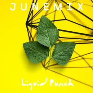 Junemix - Liquid Punch
