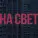 дима бамберг - истоптанные вансы