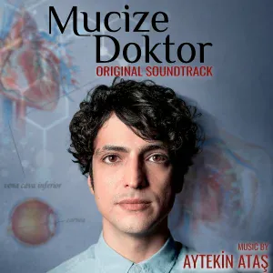 Aytekin Ataş - Panic