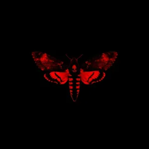 Lil Wayne feat. 2 Chainz - Rich As F***
