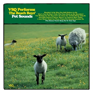 Vitamin String Quartet - Wouldn't It Be Nice