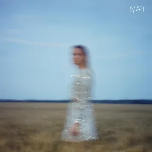 NAT - Привет