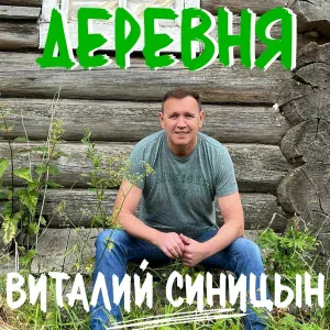 Виталий Синицын - Деревня