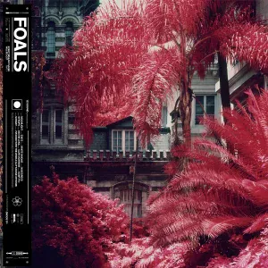 Foals - I'm Done with the World (& It's Done with Me)
