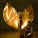 LION BABE - When I Told You I Loved You