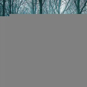 prvrln - Пойдем нажрёмся