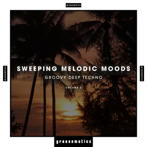 The MNKY feat. Kenneth K. Avera - Gold