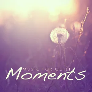 Wolfgang Amadeus Mozart - Piano Concerto in E flat, K. 449: II. Andantino