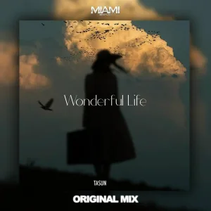 TASUN - Wonderful Life