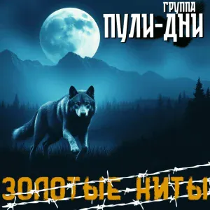 Группа Пули-Дни - Блатная кровь
