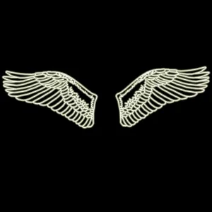 Dîno - Fly