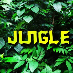 SKILLMER - Jungle