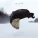 Valaire feat. Jamie Lidell - Mountains of Illusion