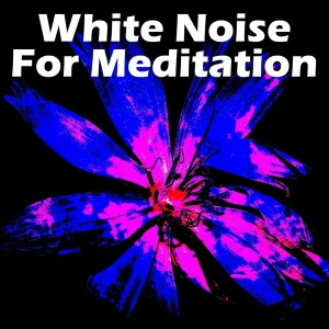Meditation Music Zone - Constant Breeze