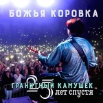Божья коровка - Гранитный камушек - 25 лет спустя