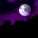 5384 - Purple Haze