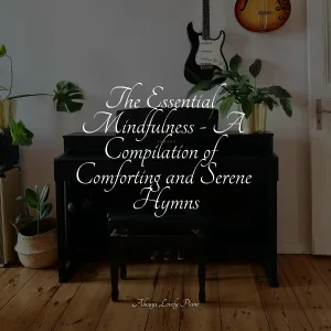 Calming Piano, RPM (Relaxing Piano Music), Piano Love Songs - Fall in Focus