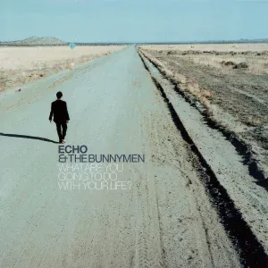 Echo & The Bunnymen - Fools Like Us