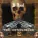 B-Real, Bizarre, Eminem - American Psycho III