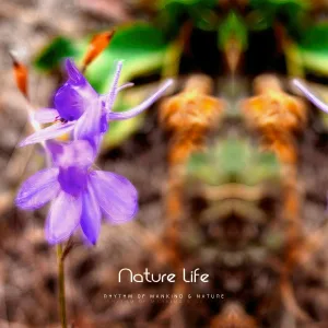Rhythm of Mankind & Nature - Night Dance of Soul
