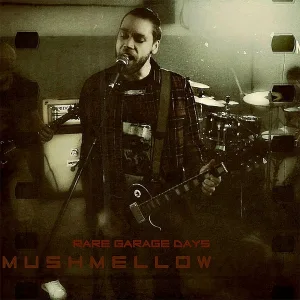 Mushmellow - Hollow Memories Acoustic
