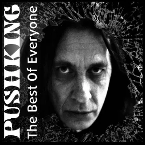 Pushking - Flight in Paradise