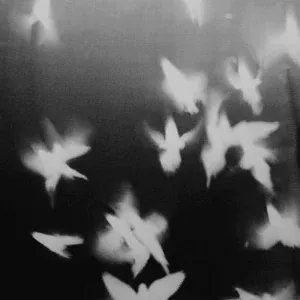 Toxic - Perlacalypse