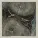 NEEDTOBREATHE - Wasteland
