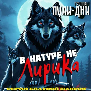 Группа Пули-Дни - Рэкетмены