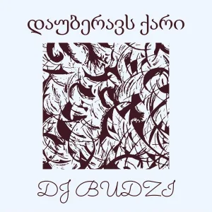 DJ BUDZI - დაუბერავს ქარი