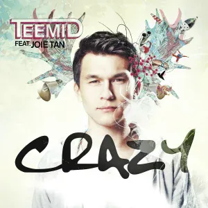 TEEMID feat. Joie Tan - Crazy