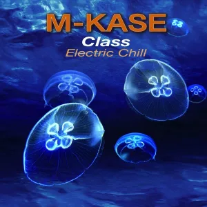 M-Kase - Could It Be a Picture in My Mind