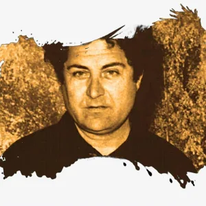 Nicolae Sulac - Mandre Sunt Padurile