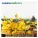 Caribou - Melody Day