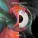 Sub Focus, Dimension - Desire (Sub Focus x Dimension) (Sub Focus x Dimension)