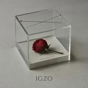 IGZO - Разлюби