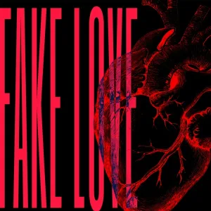 saynotolove, AKKERRY - FAKE LOVE