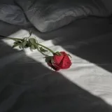 Silecut - i left because you asked me to