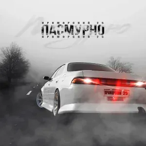 ПРИМОРСКИЙ 25 - Пасмурно