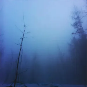 ледяная ложь - Расстреляй
