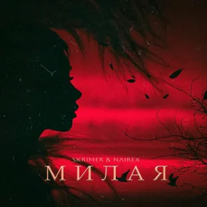 SKRIMER & NAIREX - Милая