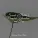 Avslappning Sound, Deep Sleep, Ruído branco - Sound of Love