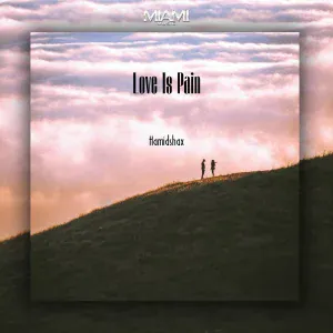 Hamidshax - Love Is Pain