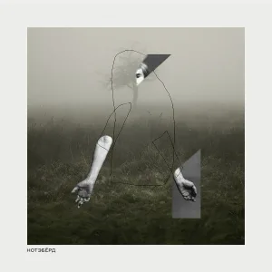 Нотэбёрд - Птица