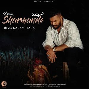 Reza Karami Tara - Sharmande