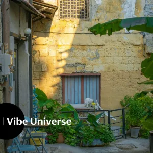 Музыка для вайба, Vibe Universe - Vibe Sessions